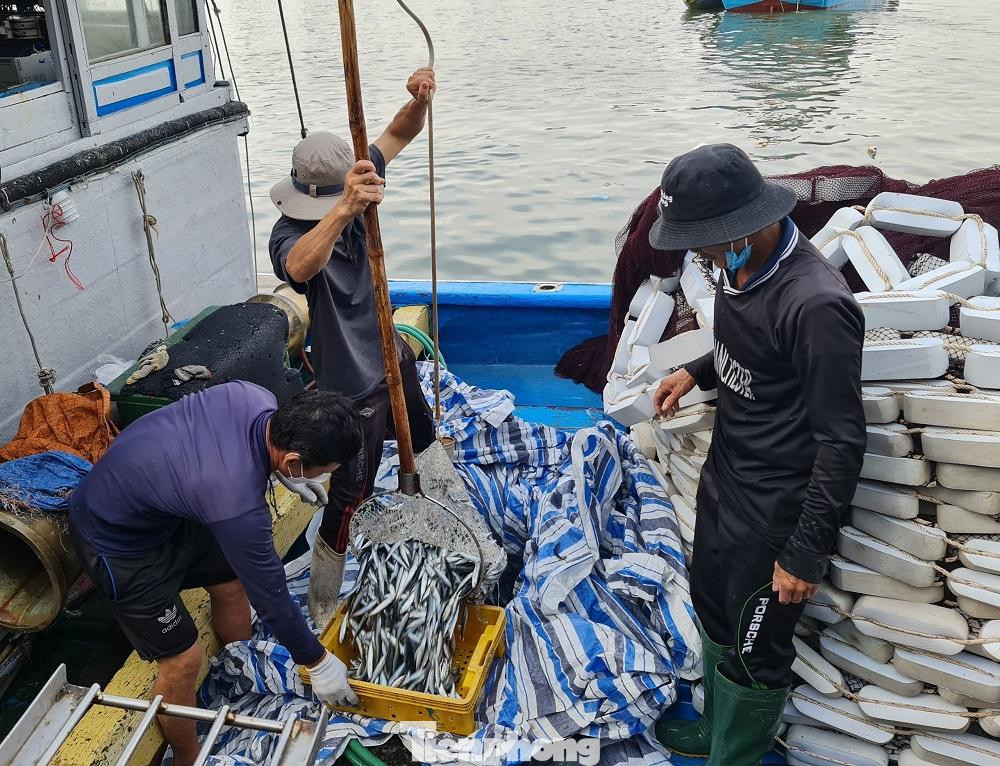 Chuyến vươn khơi đánh bắt đầu năm mới, nhiều ngư dân Quảng Ngãi đã trúng đậm “lộc biển” và trở về đất liền bán hải sản với giá cao trong niềm hân hoan, phấn khởi. Đây là tín hiệu vui, khởi đầu cho một mùa biển nhiều hy vọng và niềm tin thắng lợi.