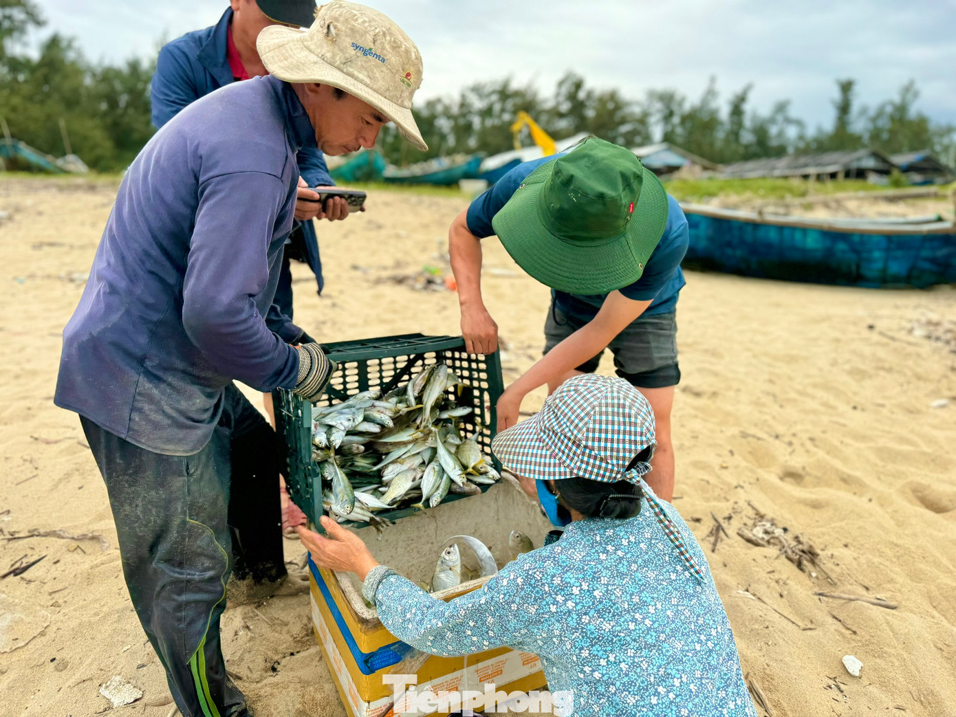 Thuyền vừa cập bờ, các thương lái đã có mặt ngay trên bờ biển để mua cá mang đi tiêu thụ.