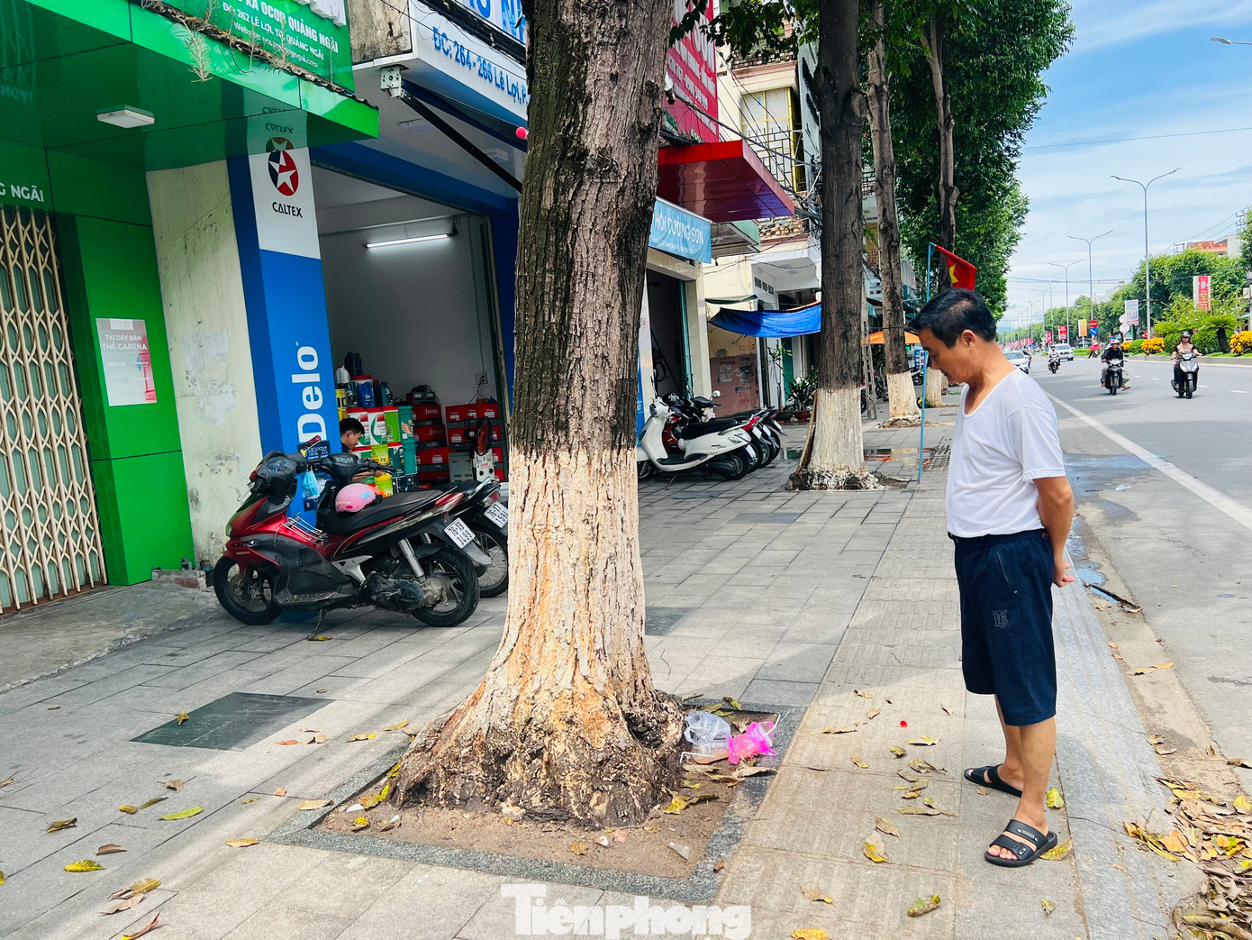 Người dân nuối tiếc khi cây bị chết dần. (Ảnh: Nguyễn Ngọc) Người dân nuối tiếc khi cây bị chết dần. (Ảnh: Nguyễn Ngọc)