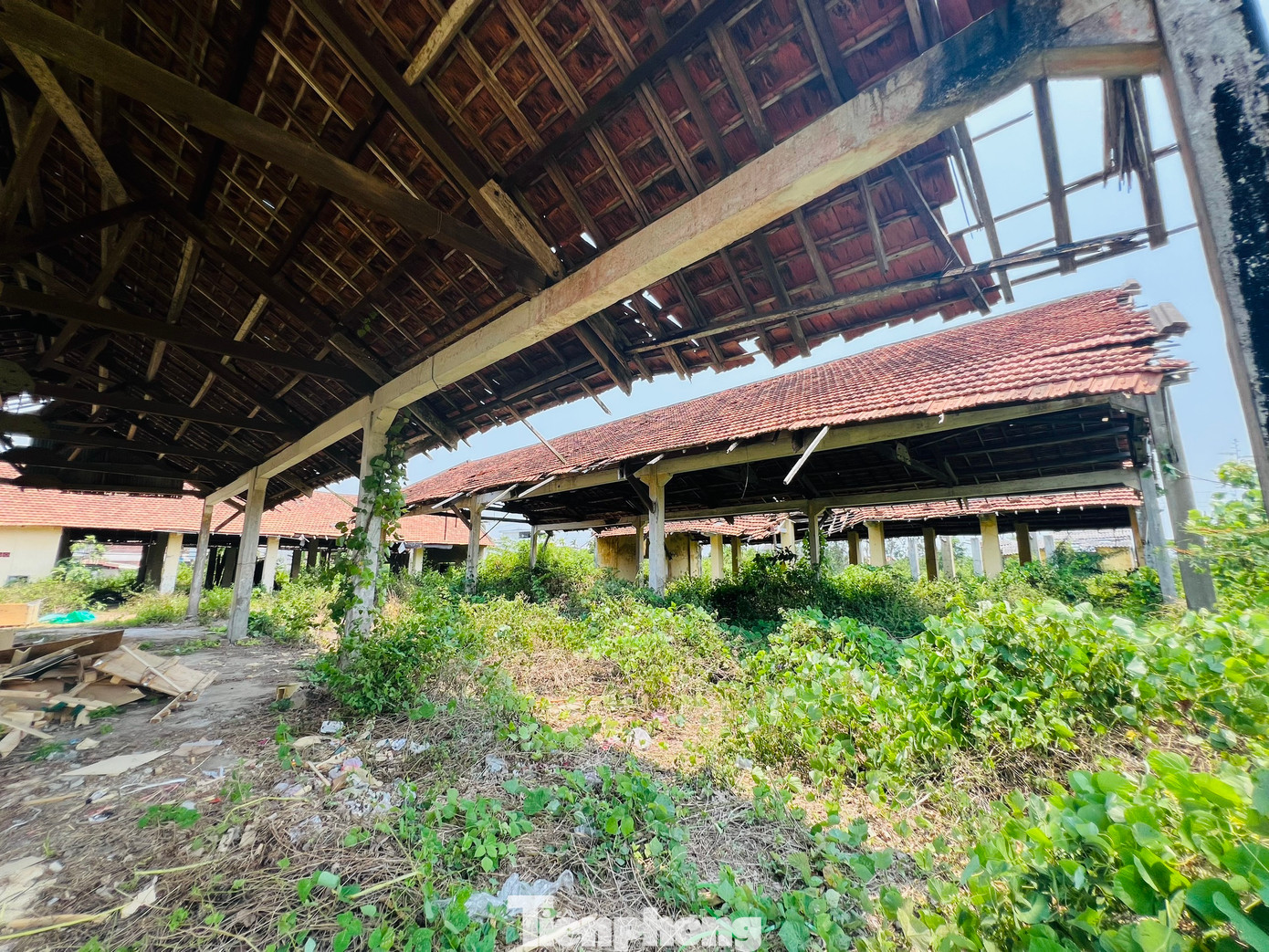 Trong đó nợ tiền bảo hiểm xã hội, bảo hiểm y tế, bảo hiểm thất nghiệp hơn 2 tỷ đồng; nợ tiền lương của cán bộ công nhân viên hơn 2,5 tỷ đồng; nợ tiền thuê đất gần 720 triệu đồng… Ảnh: Nguyễn Ngọc.