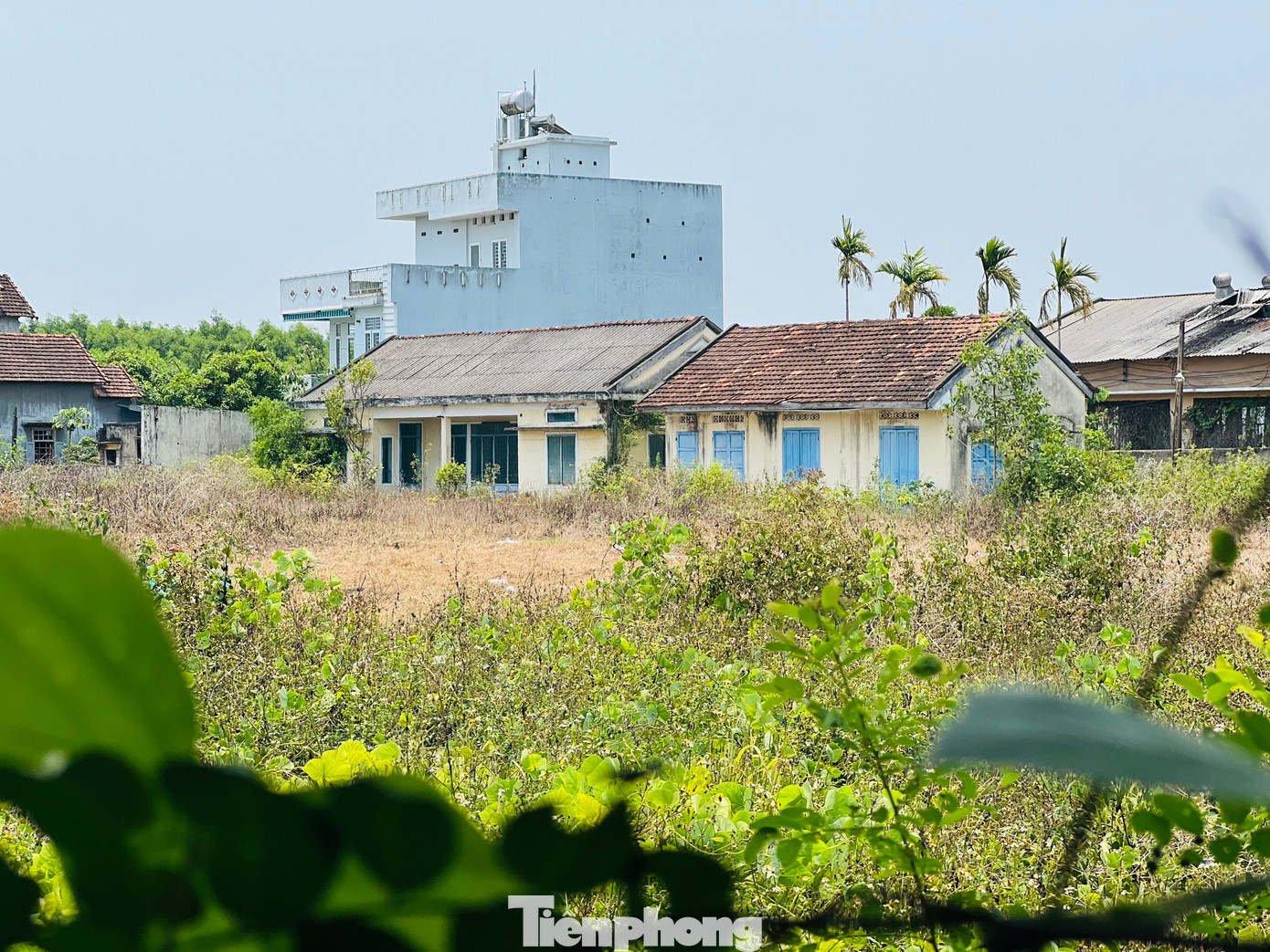 UBND tỉnh Quảng Ngãi cũng tiếp tục có văn bản đề nghị cấp thẩm quyền xem xét hỗ trợ kinh phí 5,2 tỷ đồng. Khoản kinh phí này giúp Công ty Trà Tân thanh toán dứt điểm các khoản nợ, đủ điều kiện giải thể. Tỉnh Quảng Ngãi cũng đề nghị các bộ, ngành hướng dẫn việc giải thể đối với công ty, làm cơ sở để tỉnh chỉ đạo giải quyết dứt điểm vướng mắc, thực hiện giải thể đối với Công ty Trà Tân. Ảnh: Nguyễn Ngọc.