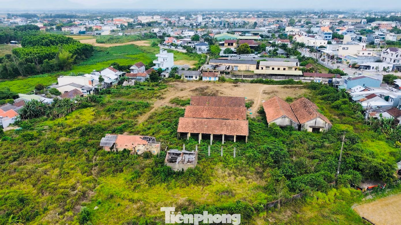 Công ty TNHH MTV Lâm nghiệp Trà Tân (gọi tắt là Công ty Trà Tân) nằm tại trung tâm huyện Tư Nghĩa, tỉnh Quảng Ngãi là doanh nghiệp 100% vốn nhà nước. Nhiều năm làm ăn thua lỗ, năm 2016 công ty buộc phải đóng cửa. Thủ tướng Chính phủ yêu cầu UBND tỉnh Quảng Ngãi tiến hành giải thể công ty theo quy định. Ảnh: Nguyễn Ngọc.