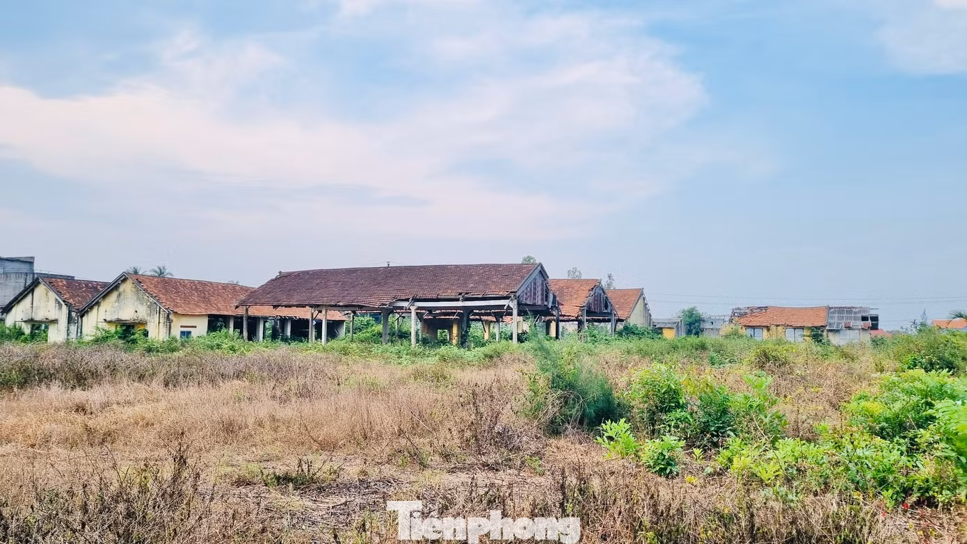 Không thể giải quyết, tỉnh Quảng Ngãi có văn bản gửi, đề nghị trung ương hướng dẫn cách xử lý liên quan đến thủ tục hành chính và ngân sách thanh toán nợ của doanh nghiệp này. Ảnh: Nguyễn Ngọc.