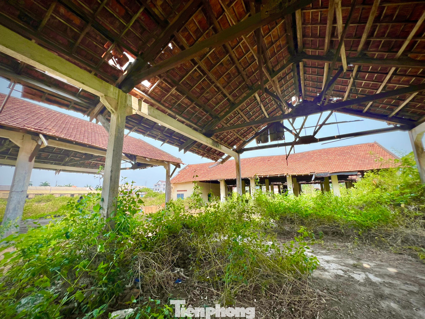 Ông Lê Tiến Dũng - Giám đốc Công ty Trà Tân - cho biết bản thân ông và Trưởng phòng Tổ chức - Hành chính bị nợ lương từ năm 2012 đến nay. Ảnh: Nguyễn Ngọc.