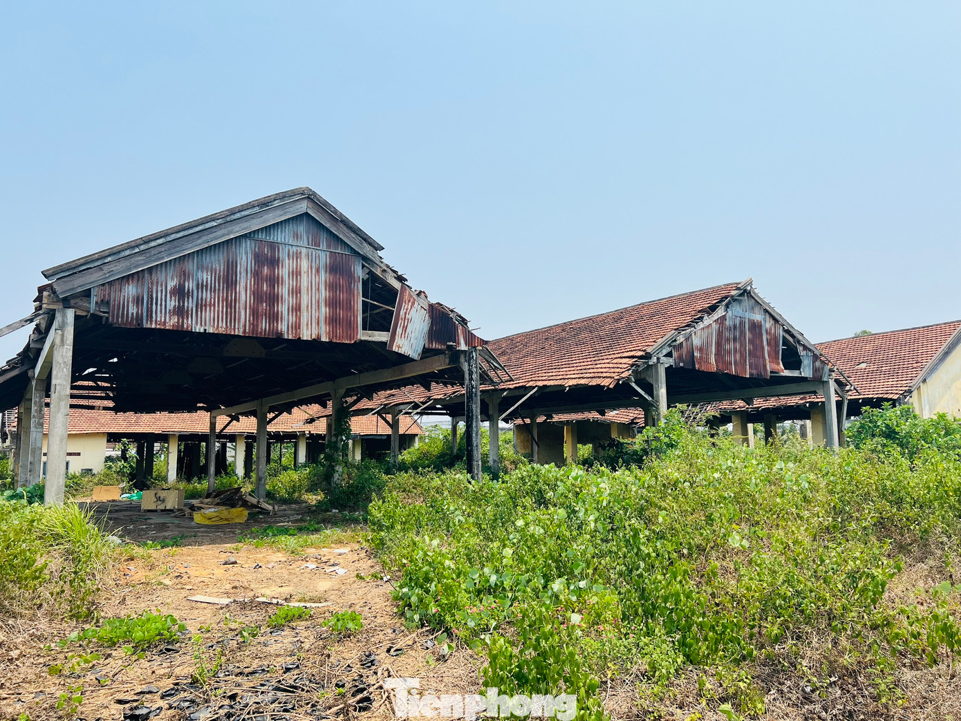 Không thể giải quyết, tỉnh Quảng Ngãi có văn bản gửi, đề nghị trung ương hướng dẫn cách xử lý liên quan đến thủ tục hành chính và ngân sách thanh toán nợ của doanh nghiệp này. Ảnh: Nguyễn Ngọc.