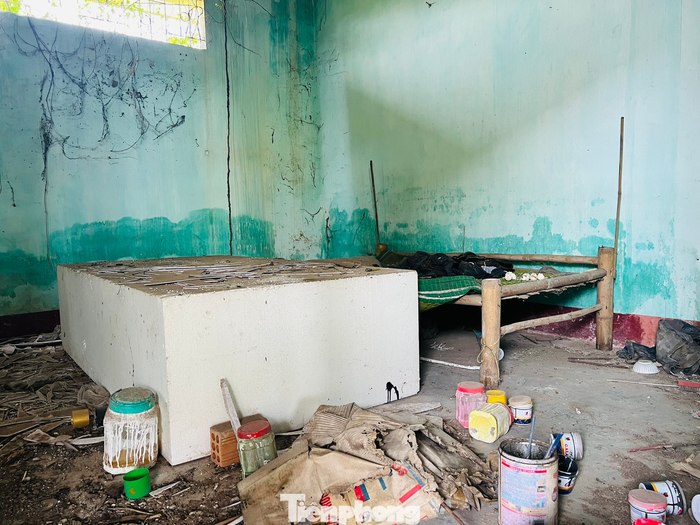 Theo ghi nhận của PV Tiền Phong, bên trong khuôn viên của công ty này hiện còn 8 khối nhà, đều đã xiêu vẹo, hoang tàn, cỏ dại mọc um tùm phủ kín các lối đi. Tại khu nhà xưởng cưa, nay hoang phế xuống cấp nghiêm trọng. Ảnh: Nguyễn Ngọc.