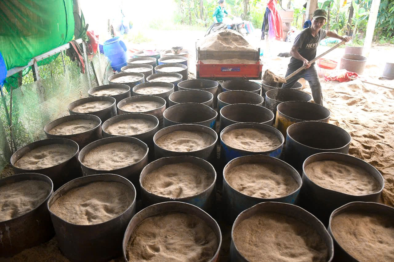 Theo một số bậc cao niên, cách làm của nơi khác thế nào thì không rõ, nhưng ở thị trấn Tịnh Hà quá trình gieo ươm, ủ cho đến khi thu hoạch giá của bà con từ trước đến nay hoàn toàn tự nhiên, không sử dụng bất cứ một loại hóa chất kích thích nào.