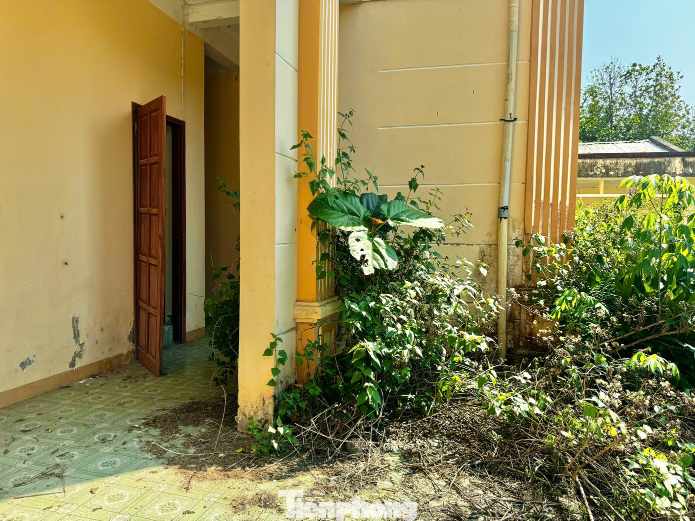 Nằm sát bên, trụ sở của Tòa án nhân dân huyện Tây Trà (cũ) cũng rơi vào cảnh hoang tàn. Đi sâu vào bên trong là hình ảnh u ám, nhếch nhác… Ảnh: Nguyễn Ngọc