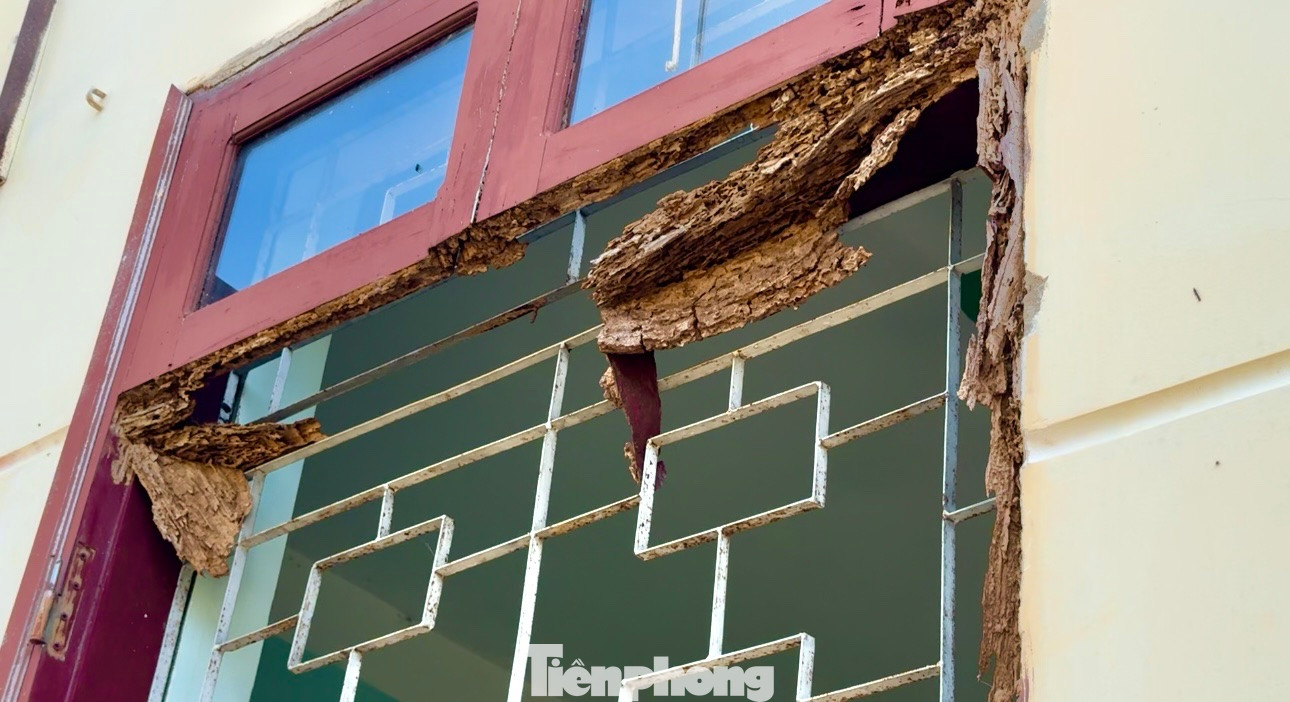 Đến nay đã tròn 5 năm sáp nhập hiện chỉ có một số trụ sở như: Huyện ủy Tây Trà (cũ), trụ sở của Mặt trận và các hội đoàn thể… được bàn giao cho một đơn vị sử dụng. Số còn lại không được sử dụng, quản lý nên đã xuống cấp trầm trọng. Ảnh: Nguyễn Ngọc