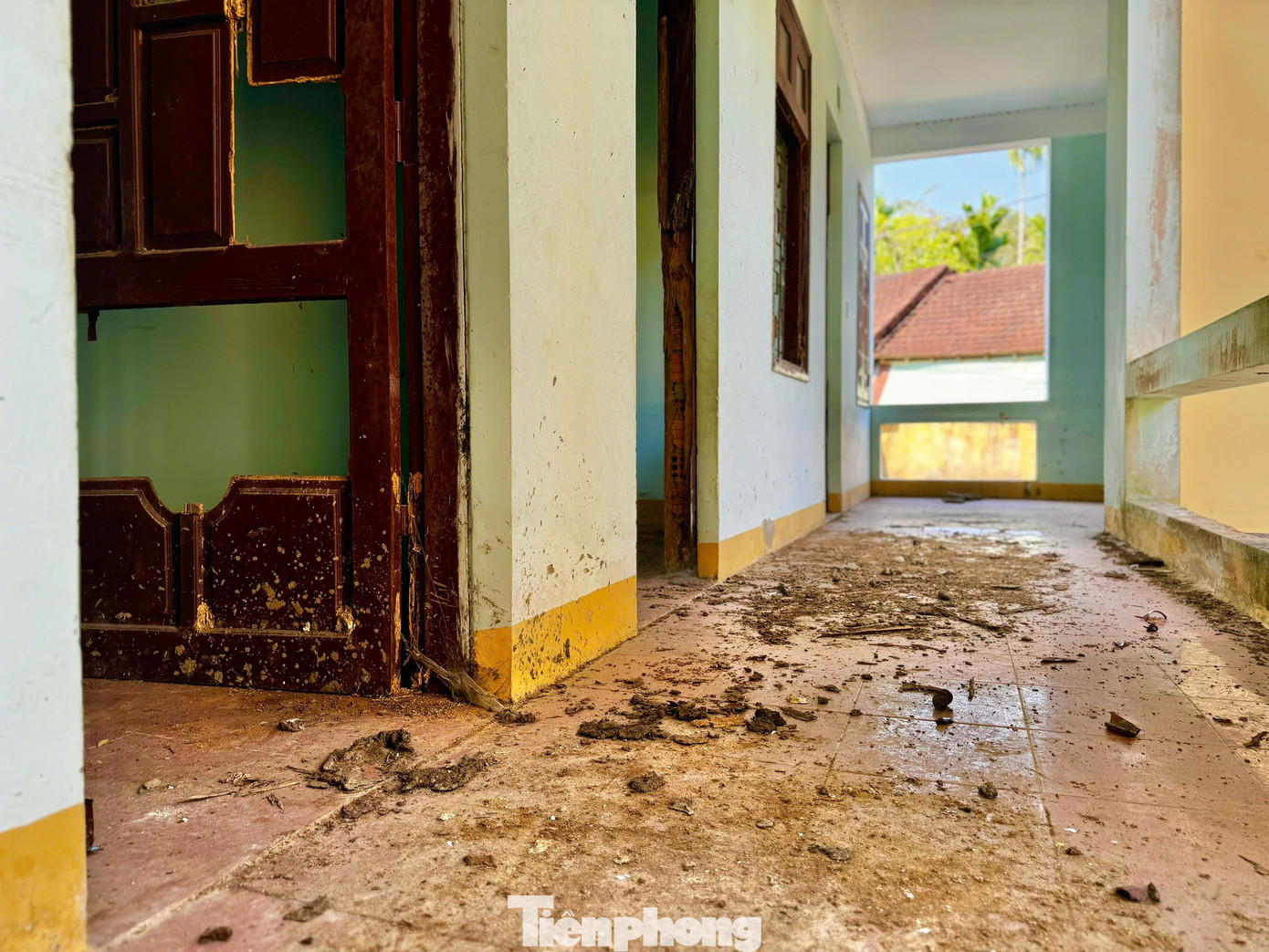 Tại trụ sở Viện kiểm sát nhân dân huyện Tây Trà (cũ), 'cửa đóng then cài', phía trong sân cây dại mọc um tùm, nhiều hạng mục bắt đầu xuống cấp. Bên trong các phòng chức năng, cảnh tượng nhếch nhác khó tin. Phân bò, phủ kín sàn nhà. Ảnh: Nguyễn Ngọc