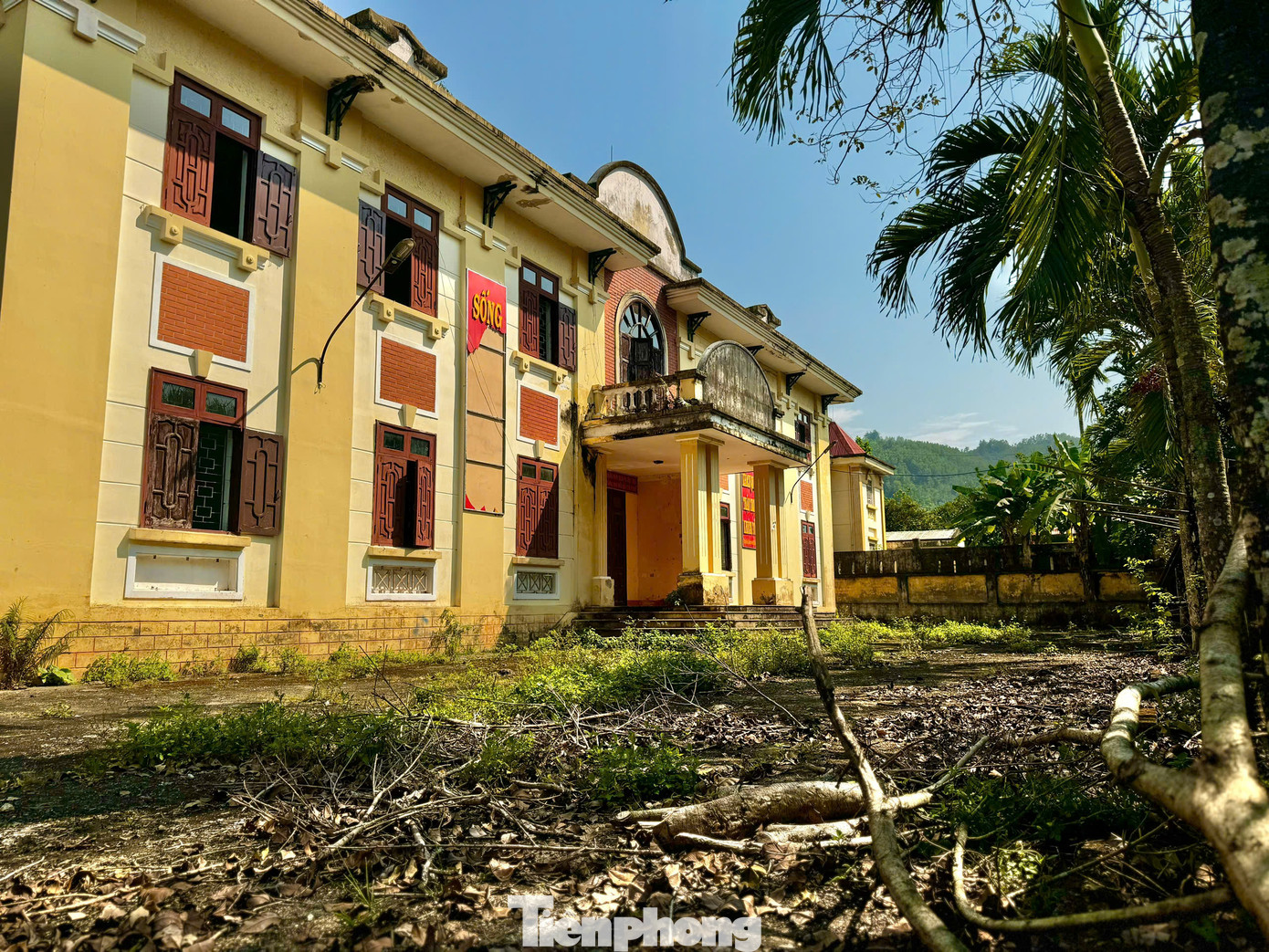 Tại trụ sở Viện kiểm sát nhân dân huyện Tây Trà (cũ), 'cửa đóng then cài', phía trong sân cây dại mọc um tùm, nhiều hạng mục bắt đầu xuống cấp. Bên trong các phòng chức năng, cảnh tượng nhếch nhác khó tin. Phân bò, phủ kín sàn nhà. Ảnh: Nguyễn Ngọc