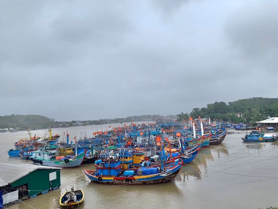 Ngư dân Quảng Ngãi đưa tàu cá vào nơi neo trú an toàn. Ảnh: Nguyễn Ngọc Ngư dân Quảng Ngãi đưa tàu cá vào nơi neo trú an toàn. Ảnh: Nguyễn Ngọc