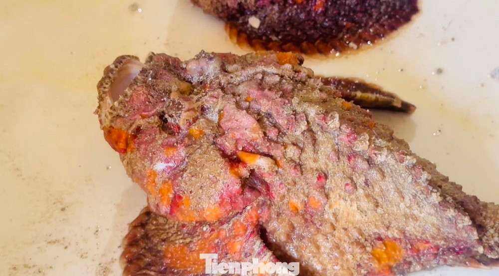 Những con cá mặt quỷ bình thường sẽ có thân hình tối sẫm, đóng rêu và loang lổ. Những con cá mặt quỷ bình thường sẽ có thân hình tối sẫm, đóng rêu và loang lổ.