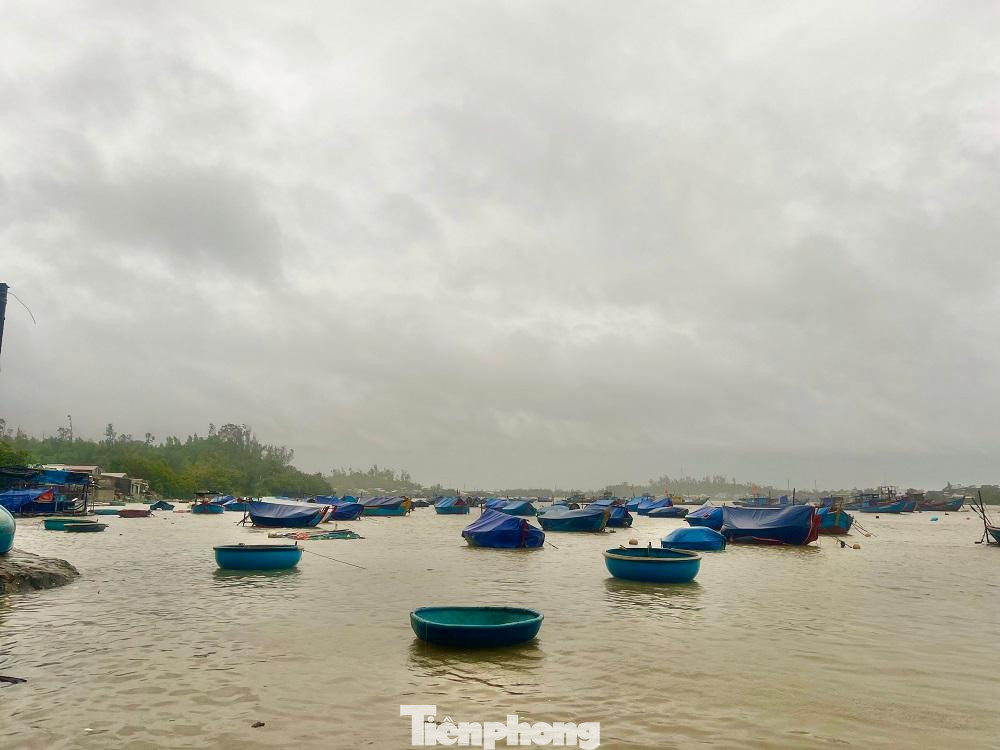 Cấm tất cả các phương tiện, tàu, thuyền ra biển hoạt động (bao gồm cả phương tiện vận tải hành khách tuyến Sa Kỳ - Lý Sơn và ngược lại). Cấm tất cả các phương tiện, tàu, thuyền ra biển hoạt động (bao gồm cả phương tiện vận tải hành khách tuyến Sa Kỳ - Lý Sơn và ngược lại).