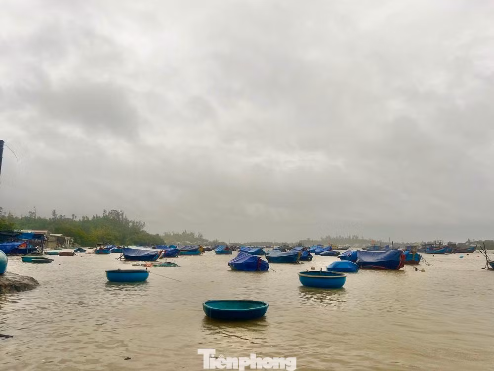 Cấm tất cả các phương tiện, tàu, thuyền ra biển hoạt động (bao gồm cả phương tiện vận tải hành khách tuyến Sa Kỳ - Lý Sơn và ngược lại).