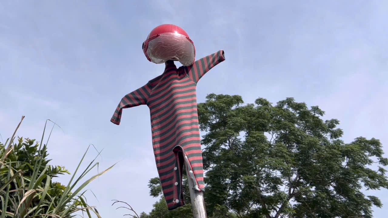 Người dân đã sử dụng nhiều biện pháp nhưng cũng chỉ dọa được khỉ trong thời gian ngắn.