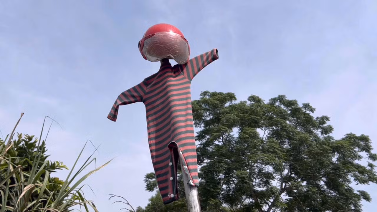 Người dân đã sử dụng nhiều biện pháp nhưng cũng chỉ dọa được khỉ trong thời gian ngắn.