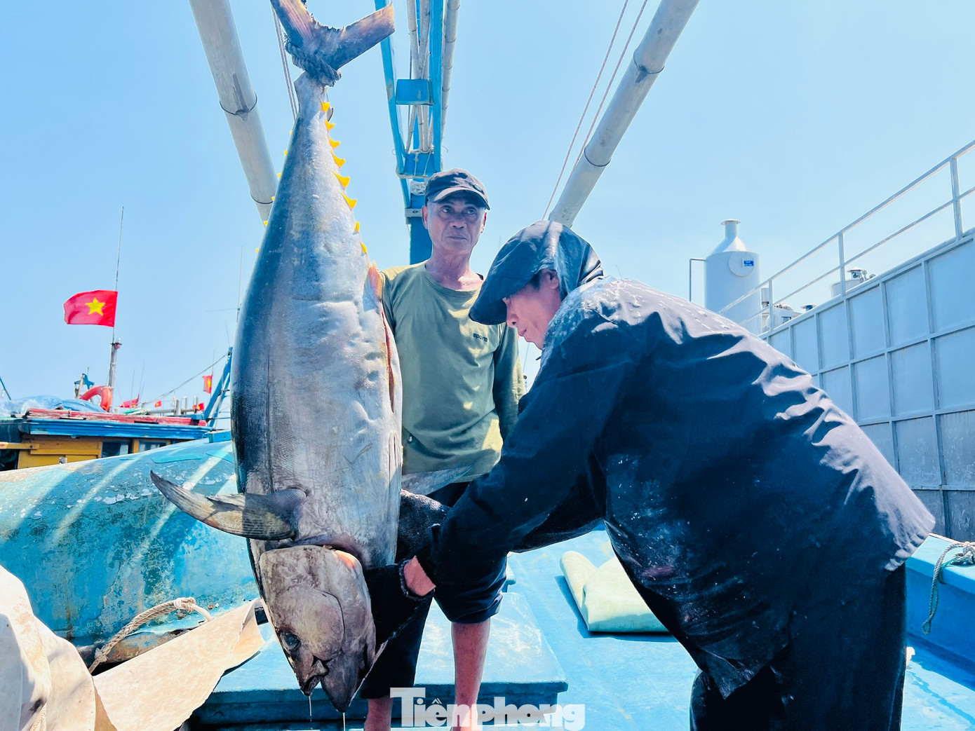 “Chuyến biển xuyên Tết này tôi sợ lỗ nặng, nhưng như vậy là may mắn lắm rồi. Sau khi trừ hết chi phí thì cũng vừa đủ cho chuyến biển chứ không có dư. So với mọi năm thì không đạt hiệu quả”, ngư dân Trạng nói. Ảnh: Nguyễn Ngọc “Chuyến biển xuyên Tết này tôi sợ lỗ nặng, nhưng như vậy là may mắn lắm rồi. Sau khi trừ hết chi phí thì cũng vừa đủ cho chuyến biển chứ không có dư. So với mọi năm thì không đạt hiệu quả”, ngư dân Trạng nói. Ảnh: Nguyễn Ngọc