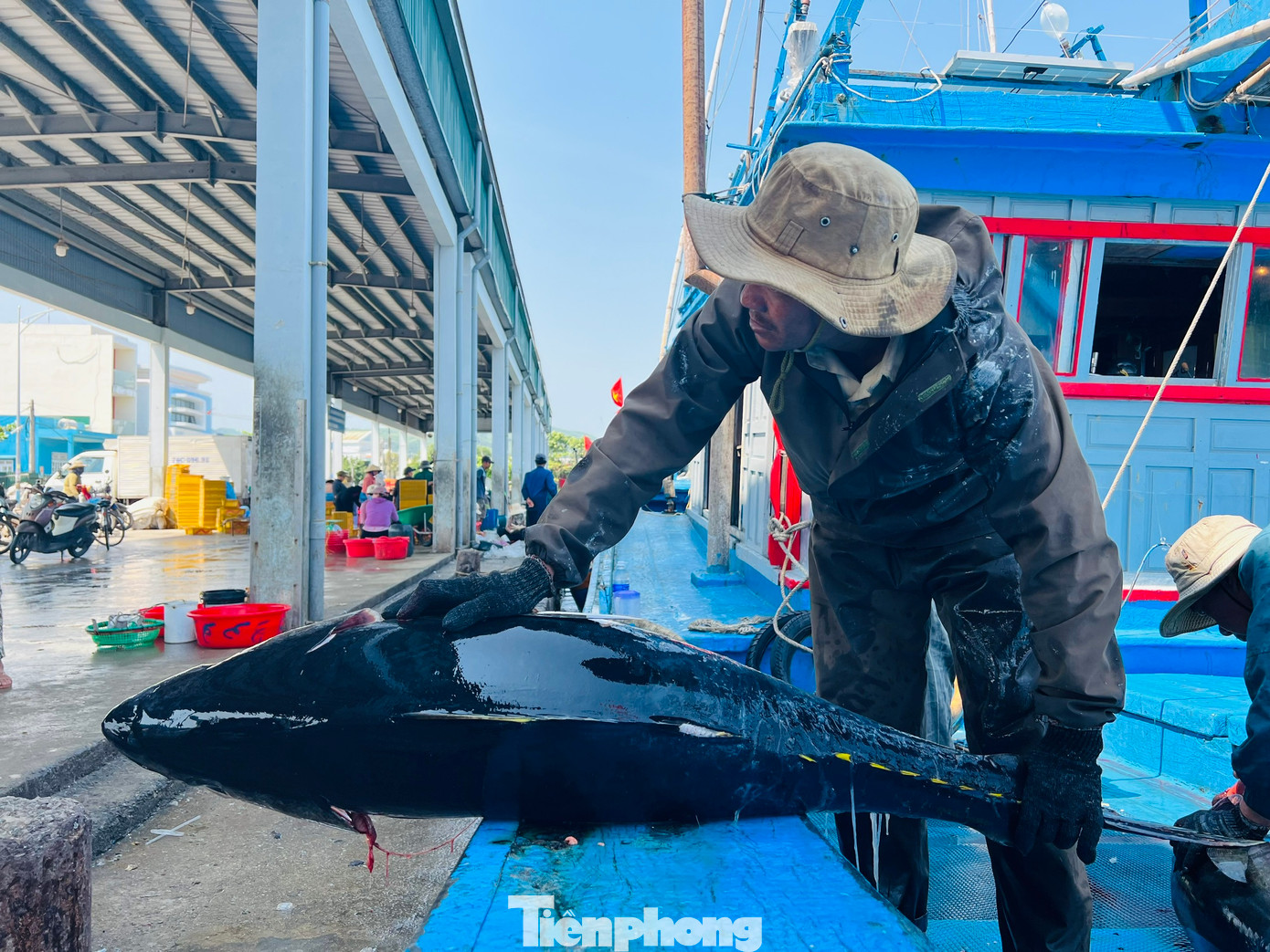 Trong khi đó, tàu của ngư dân Huỳnh Tấn Minh (trú xã Phổ Châu, thị xã Đức Phổ) chỉ là số ít tàu cá của ngư dân Quảng Ngãi xuyên Tết đánh bắt hiệu quả, thu về lợi nhuận lớn. Ảnh: Nguyễn Ngọc Trong khi đó, tàu của ngư dân Huỳnh Tấn Minh (trú xã Phổ Châu, thị xã Đức Phổ) chỉ là số ít tàu cá của ngư dân Quảng Ngãi xuyên Tết đánh bắt hiệu quả, thu về lợi nhuận lớn. Ảnh: Nguyễn Ngọc