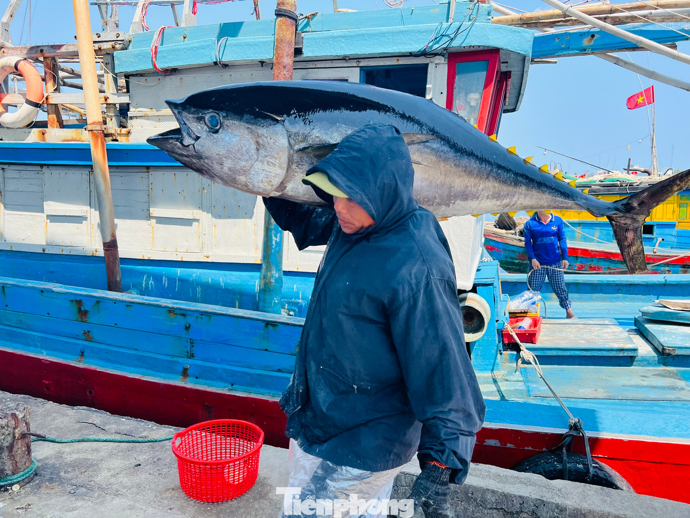 “Sau 18 ngày lênh đênh trên ngư trường Hoàng Sa, tàu của tôi câu được 57 con cá ngừ đại dương, sau khi trừ hết chi phí cũng chia được cho anh em bạn thuyền mỗi người 15 triệu, nên ai nấy cũng vui mừng”, ngư dân Minh chia sẻ. Ảnh: Nguyễn Ngọc “Sau 18 ngày lênh đênh trên ngư trường Hoàng Sa, tàu của tôi câu được 57 con cá ngừ đại dương, sau khi trừ hết chi phí cũng chia được cho anh em bạn thuyền mỗi người 15 triệu, nên ai nấy cũng vui mừng”, ngư dân Minh chia sẻ. Ảnh: Nguyễn Ngọc