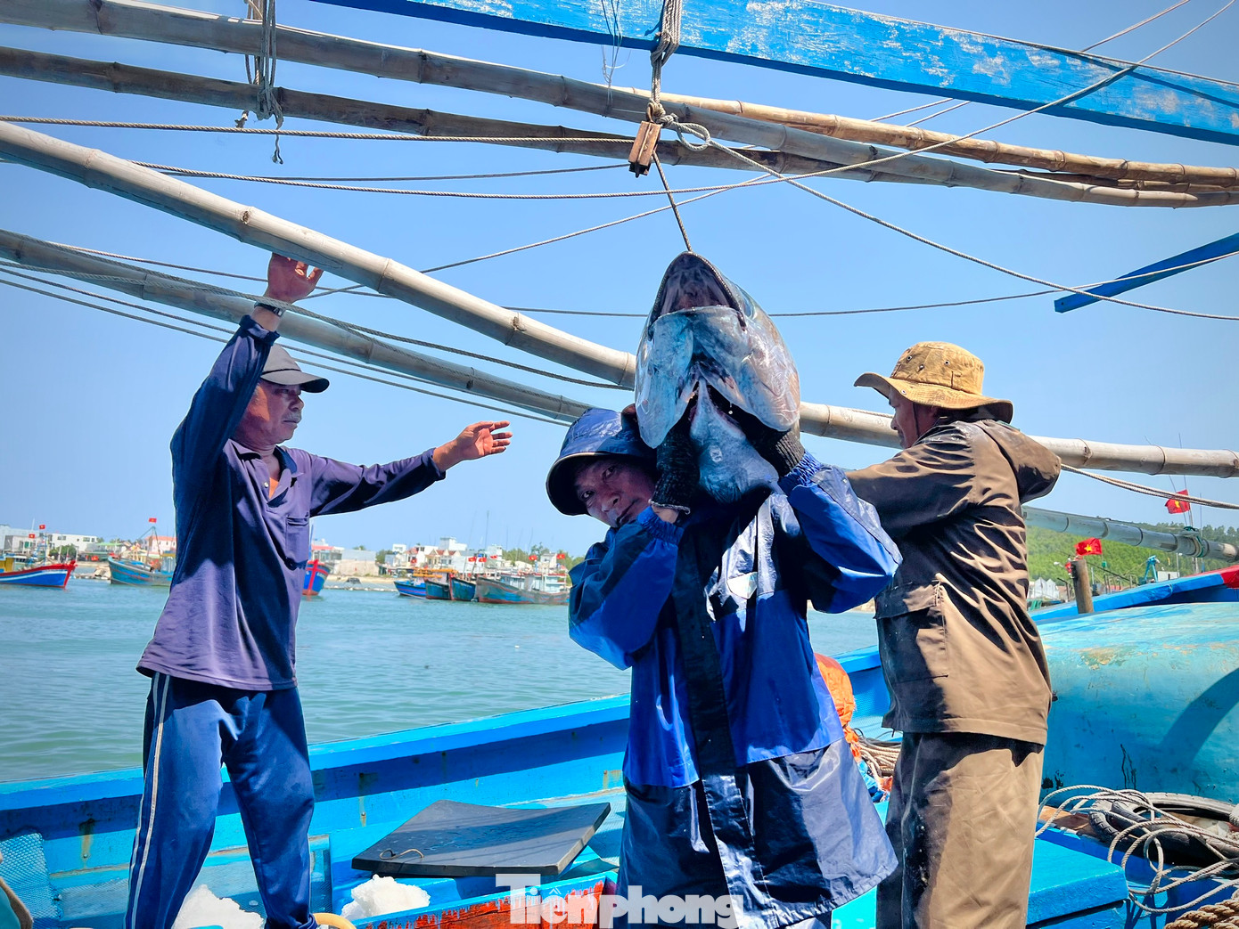 Theo các ngư dân, năm nay rất nhiều tàu cá đi chuyến biển xuyên Tết, đánh bắt kém hiệu quả, đây là tình trạng chung của các ngư dân. Ảnh: Nguyễn Ngọc Theo các ngư dân, năm nay rất nhiều tàu cá đi chuyến biển xuyên Tết, đánh bắt kém hiệu quả, đây là tình trạng chung của các ngư dân. Ảnh: Nguyễn Ngọc
