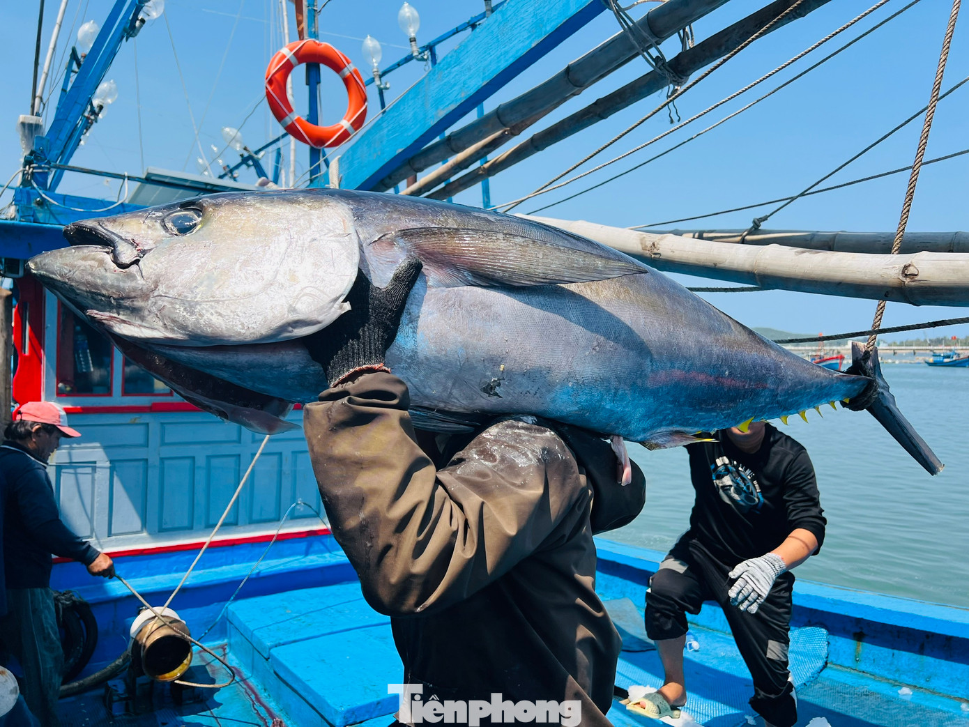 “Chuyến biển xuyên Tết này tôi sợ lỗ nặng, nhưng như vậy là may mắn lắm rồi. Sau khi trừ hết chi phí thì cũng vừa đủ cho chuyến biển chứ không có dư. So với mọi năm thì không đạt hiệu quả”, ngư dân Trạng nói. Ảnh: Nguyễn Ngọc “Chuyến biển xuyên Tết này tôi sợ lỗ nặng, nhưng như vậy là may mắn lắm rồi. Sau khi trừ hết chi phí thì cũng vừa đủ cho chuyến biển chứ không có dư. So với mọi năm thì không đạt hiệu quả”, ngư dân Trạng nói. Ảnh: Nguyễn Ngọc