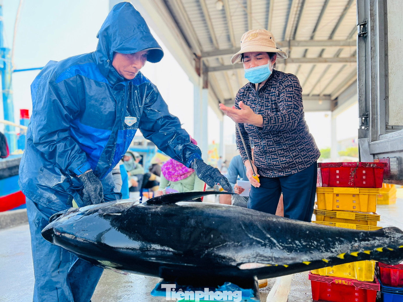 Được biết, toàn tỉnh Quảng Ngãi có 62 tàu, với 378 ngư dân hành nghề xuyên Tết trên biển, các tàu này chủ yếu khai thác hải sản ở ngư trường Hoàng Sa, Trường Sa. Ảnh: Nguyễn Ngọc Được biết, toàn tỉnh Quảng Ngãi có 62 tàu, với 378 ngư dân hành nghề xuyên Tết trên biển, các tàu này chủ yếu khai thác hải sản ở ngư trường Hoàng Sa, Trường Sa. Ảnh: Nguyễn Ngọc
