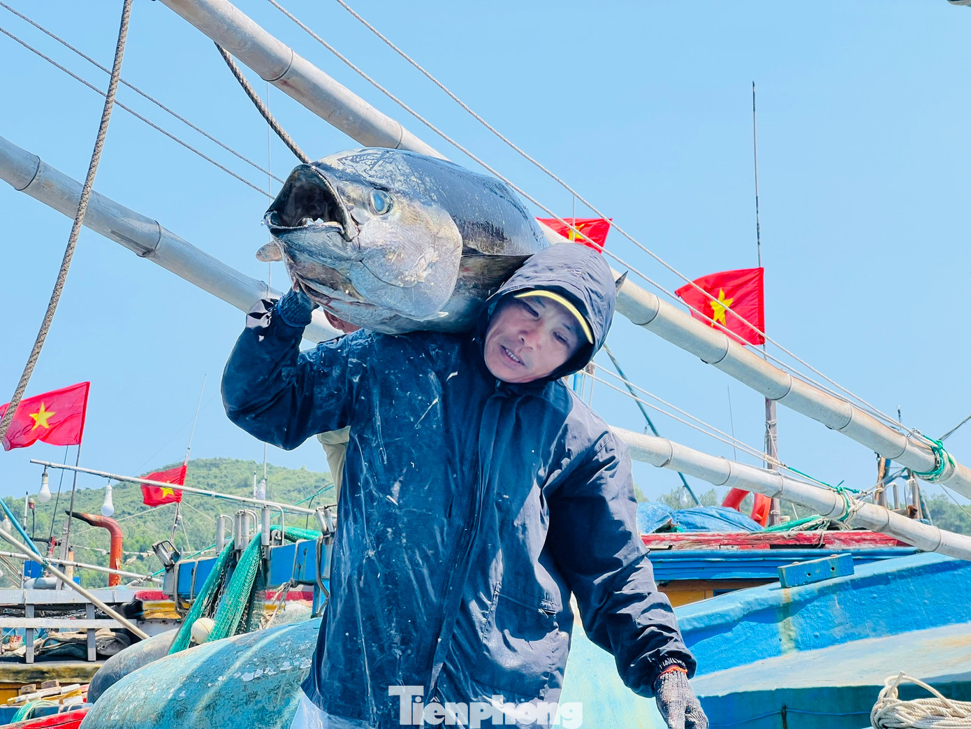 Theo các ngư dân, năm nay rất nhiều tàu cá đi chuyến biển xuyên Tết, đánh bắt kém hiệu quả, đây là tình trạng chung của các ngư dân. Ảnh: Nguyễn Ngọc Theo các ngư dân, năm nay rất nhiều tàu cá đi chuyến biển xuyên Tết, đánh bắt kém hiệu quả, đây là tình trạng chung của các ngư dân. Ảnh: Nguyễn Ngọc
