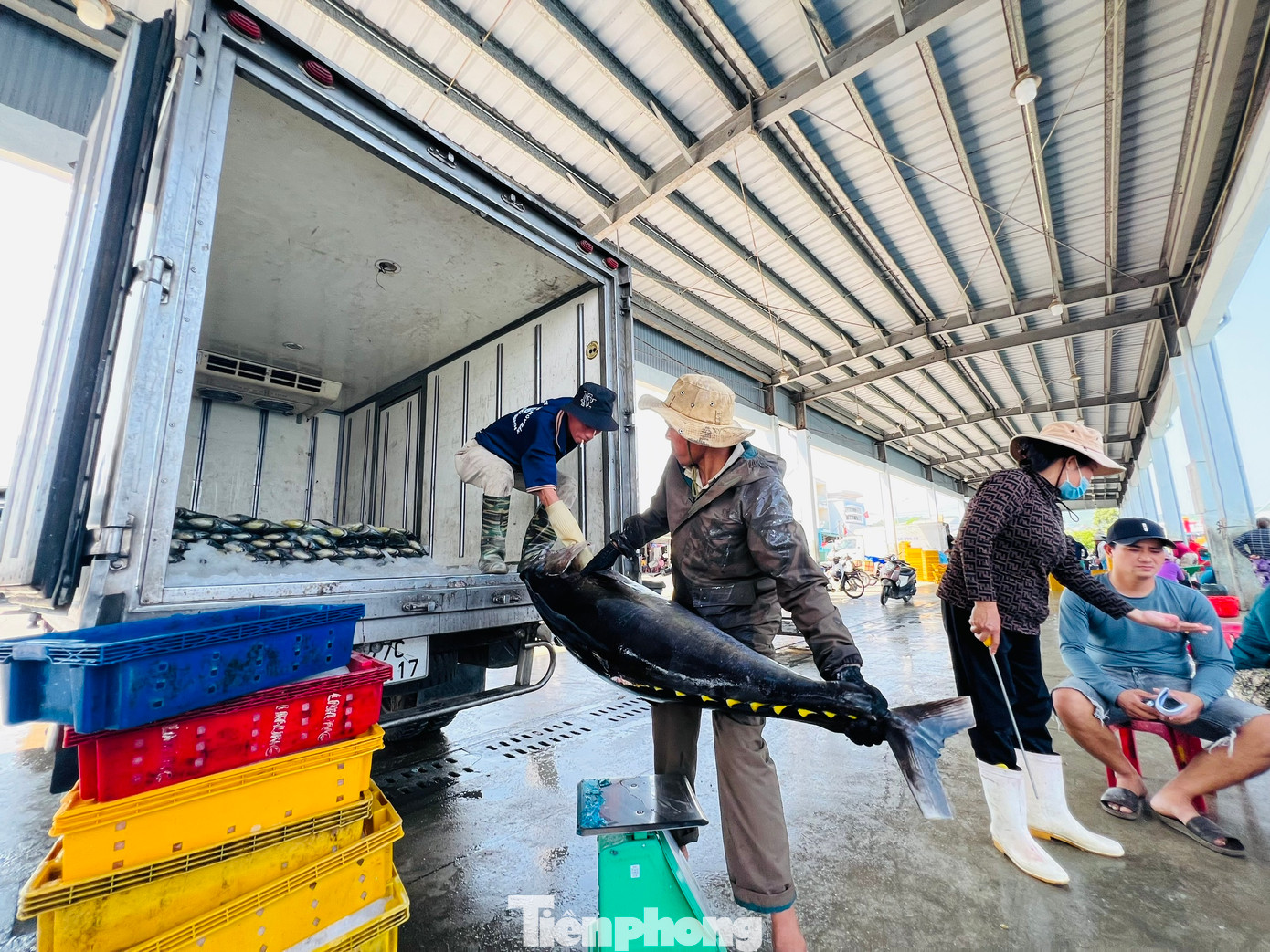 Được biết, toàn tỉnh Quảng Ngãi có 62 tàu, với 378 ngư dân hành nghề xuyên Tết trên biển, các tàu này chủ yếu khai thác hải sản ở ngư trường Hoàng Sa, Trường Sa. Ảnh: Nguyễn Ngọc Được biết, toàn tỉnh Quảng Ngãi có 62 tàu, với 378 ngư dân hành nghề xuyên Tết trên biển, các tàu này chủ yếu khai thác hải sản ở ngư trường Hoàng Sa, Trường Sa. Ảnh: Nguyễn Ngọc