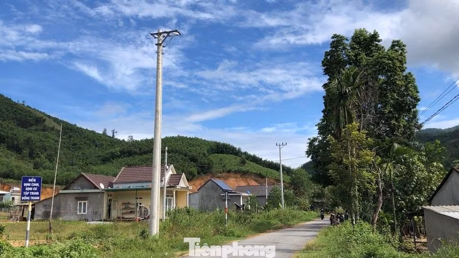 Những hàng trụ điện được dựng lên khá lâu, nhưng chưa một lần đóng điện. Ảnh: Nguyễn Ngọc