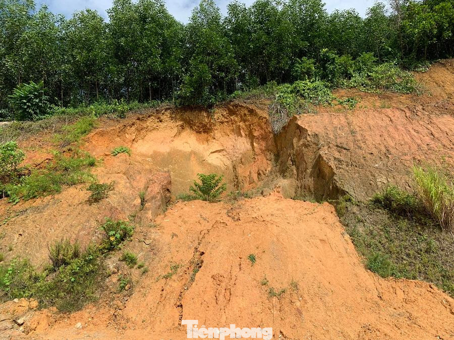 Để giải quyết tạm thời cho các hộ dân nằm trong vùng sạt lở, cần phải di dời khẩn cấp, chính quyền địa phương đã vận động, di dời 11 hộ dân về đây TĐC. Thế nhưng, cuộc sống của các hộ dân này đang gặp rất nhiều khó khăn vì chưa được cấp điện, thiếu nước sinh hoạt và phải đối diện với sạt lở bất cứ lúc nào. Ảnh: Nguyễn Ngọc