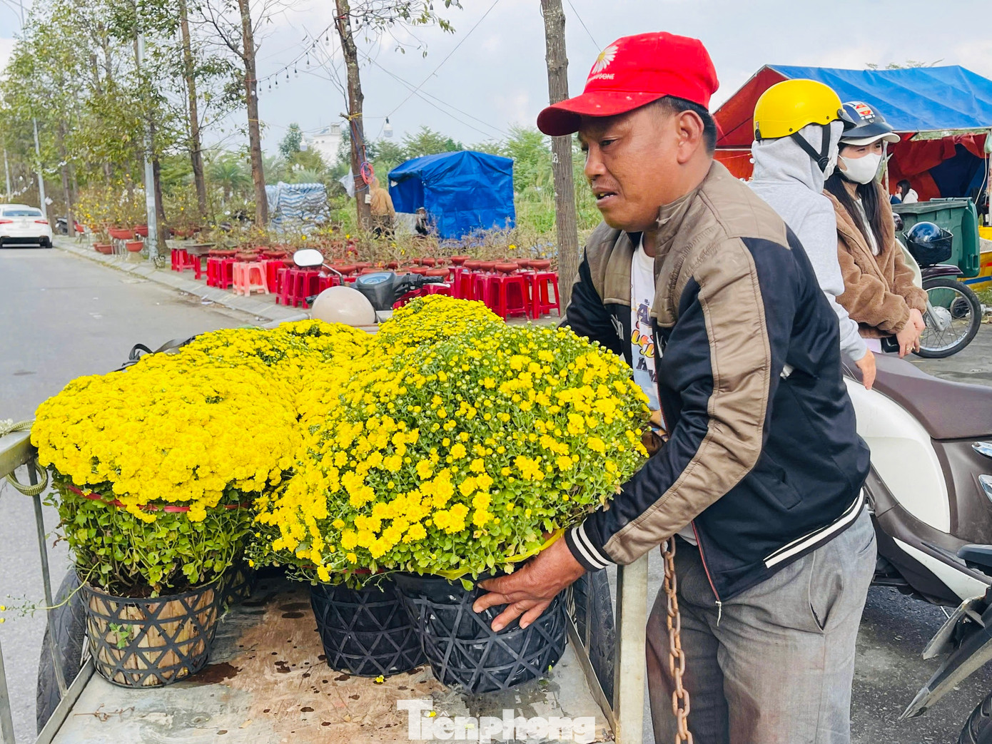 Không khí ngày Tết tại chợ hoa Quảng Ngãi hiện rất ảm đạm, số lượng cây cảnh, hoa đang còn rất nhiều. Trước tình hình bán buôn ế ẩm, nhiều tiểu thương đang phải đối mặt với viễn cảnh đón một cái Tết buồn vì thua lỗ nặng. Ảnh: Nguyễn Ngọc