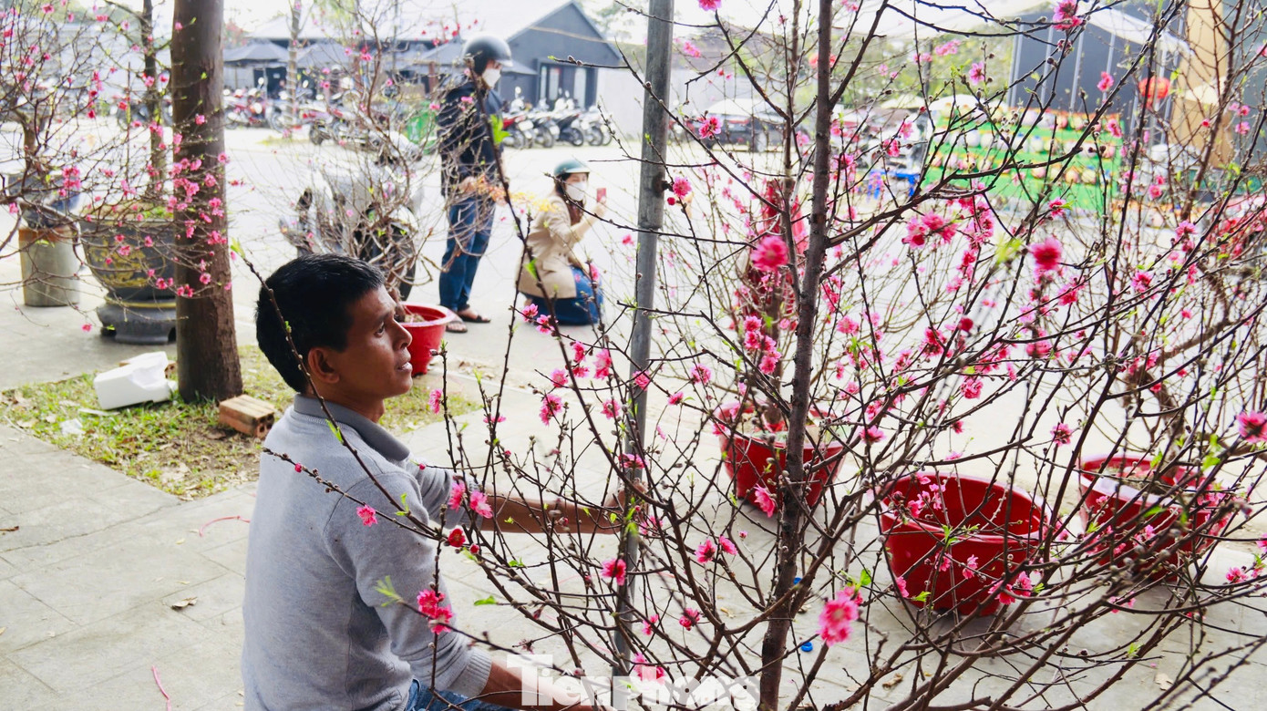 Nhiều gian hàng hoa, cây cảnh đang ngóng chờ người mua. Ảnh: Nguyễn Ngọc