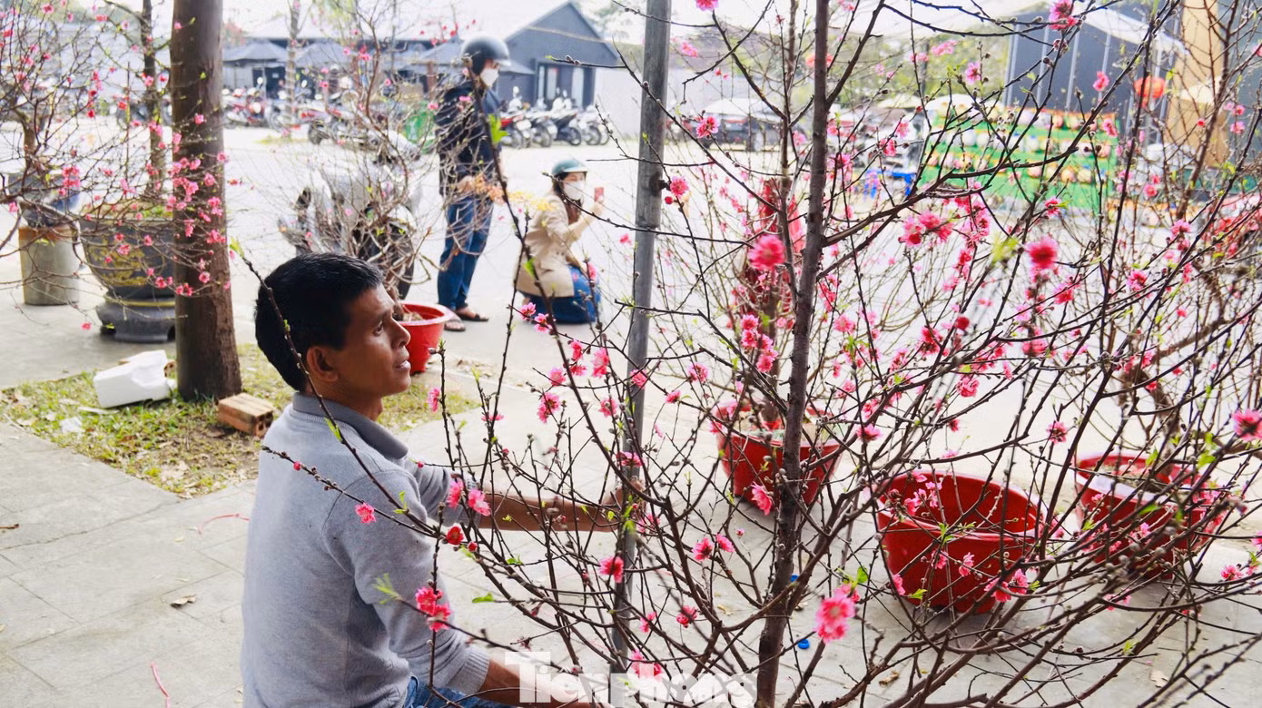 Nhiều gian hàng hoa, cây cảnh đang ngóng chờ người mua. Ảnh: Nguyễn Ngọc