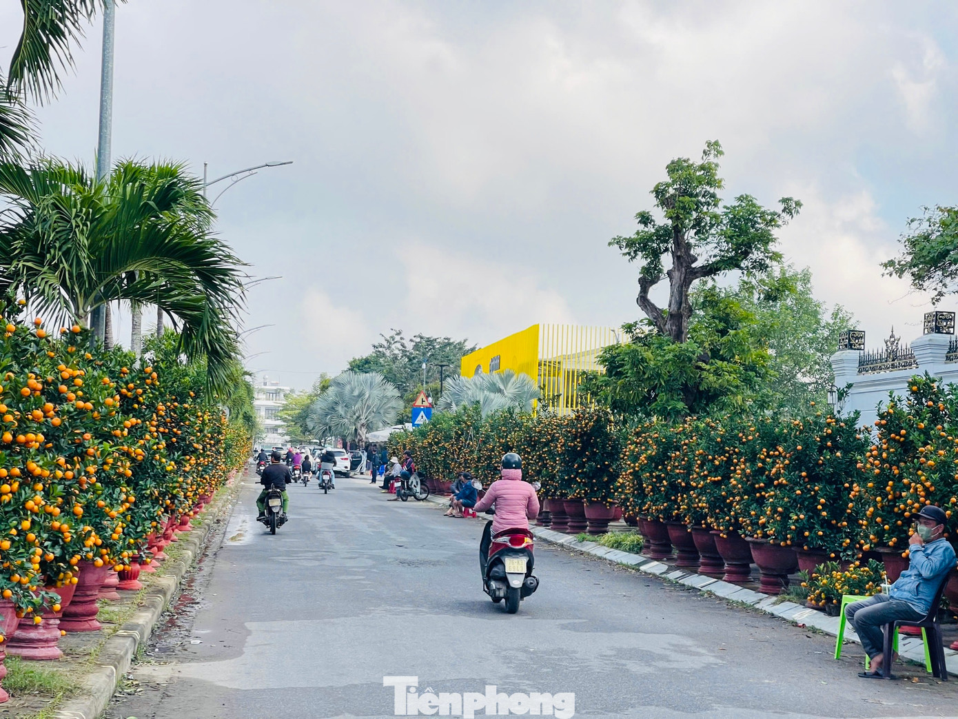 Theo ghi nhận của PV Tiền Phong ngày 26/1 (tức 27 tháng Chạp), chợ hoa Tết lớn nhất Quảng Ngãi đìu hiu, không còn cảnh mua bán tấp nập mua bán như mọi năm. Ảnh: Nguyễn Ngọc