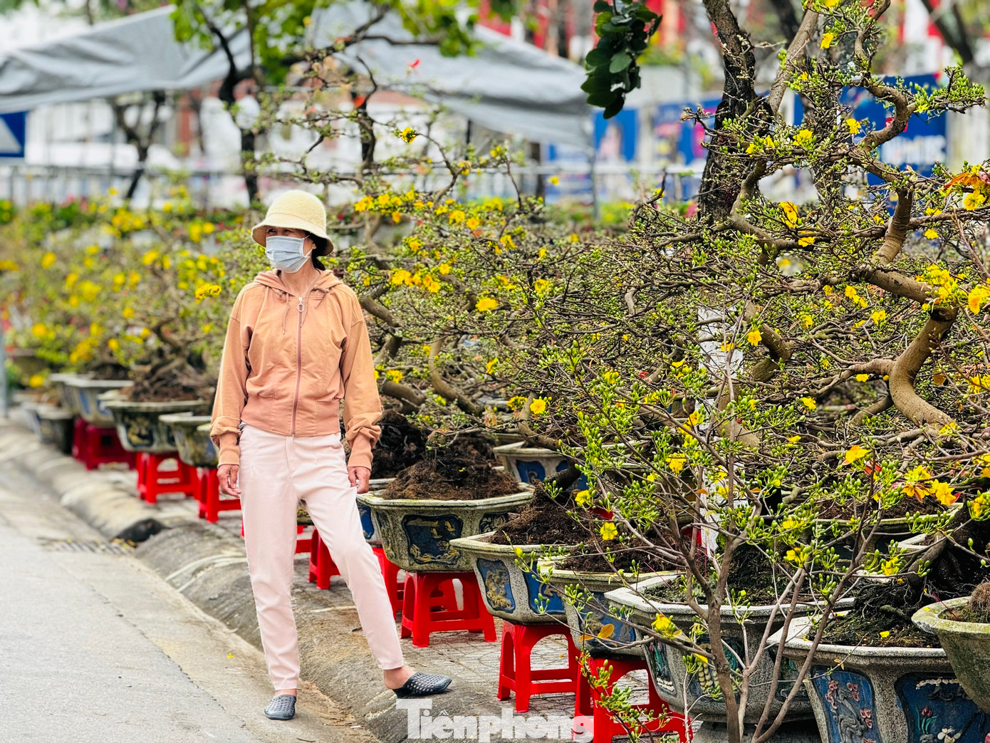 Cảnh buôn bán ế ẩm khiến nhiều tiểu thương như đang “ngồi trên đống lửa”, nhất là với những người bỏ ra số tiền lớn nhập về các loại hoa, cây cảnh có giá cao. Với họ, Tết năm nay đã kém vui. Ảnh: Nguyễn Ngọc