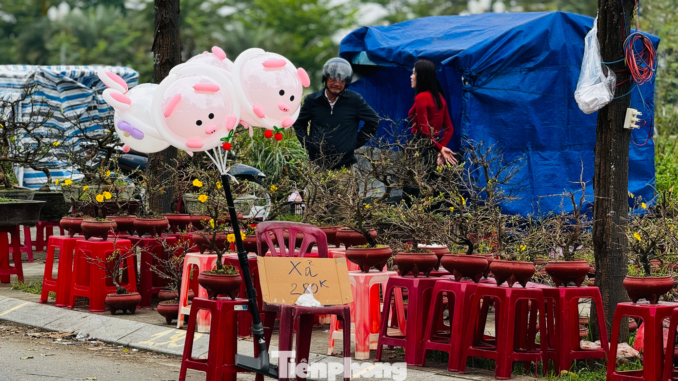 Hầu hết các gian hàng còn khá nhiều loại hoa khác nhau như cúc, vạn thọ, mai vàng, quất... Một số gian hàng đã bắt đầu treo biển “xả hàng, bán lỗ”, những vẫn vắng người mua. Ảnh: Nguyễn Ngọc