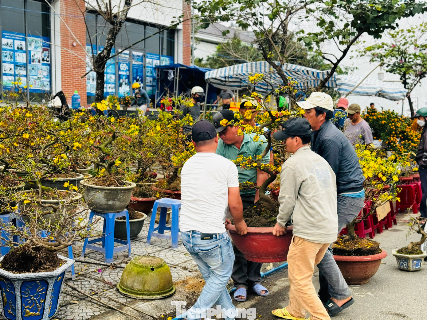Nhiều người bán hoa cũng chung cảnh ngộ như anh Sang. Chẳng ai nghĩ đến có lời, chỉ mong gỡ gạc đồng nào hay đồng đó. Ảnh: Nguyễn Ngọc