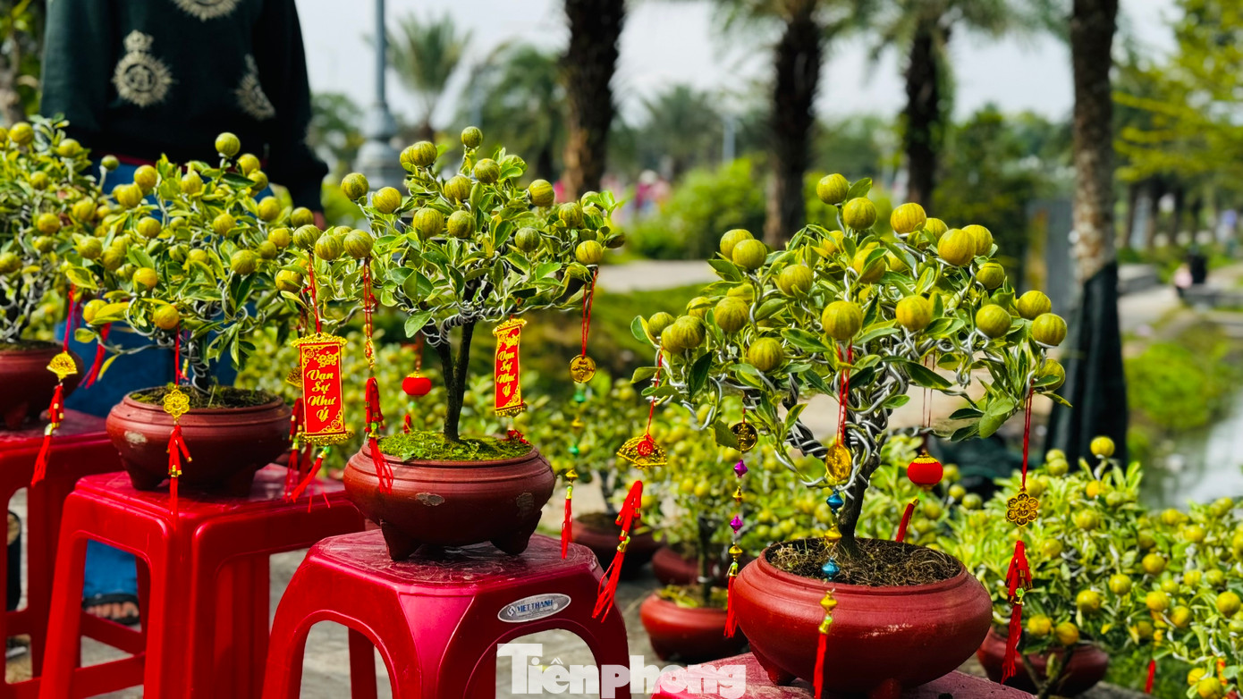 Nhiều gian hàng hoa, cây cảnh đang ngóng chờ người mua. Ảnh: Nguyễn Ngọc