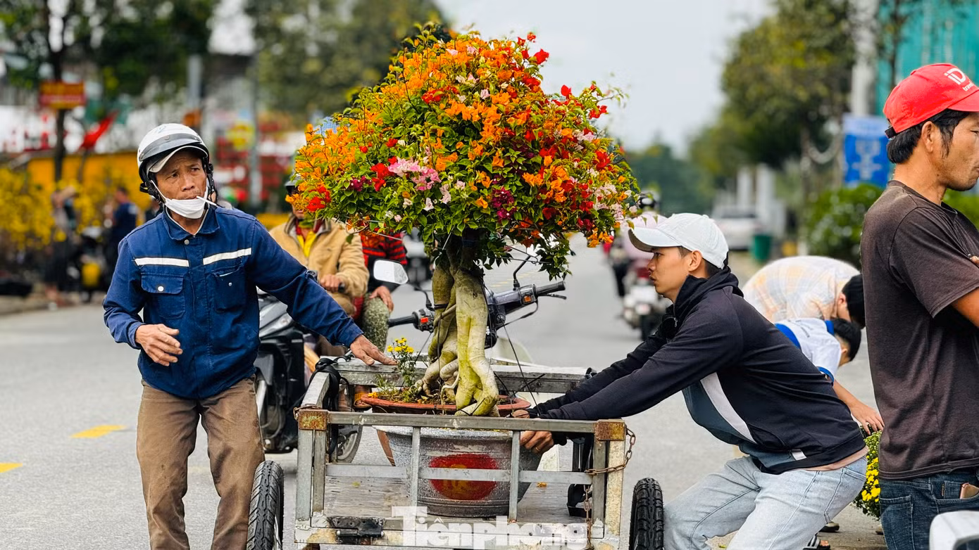 Tiểu thương hy vọng trong 2 ngày tới, sức mua hoa, cây cảnh sẽ tăng cao để họ có thể gỡ gạc lại ít vốn đã bỏ ra. Ảnh: Nguyễn Ngọc.