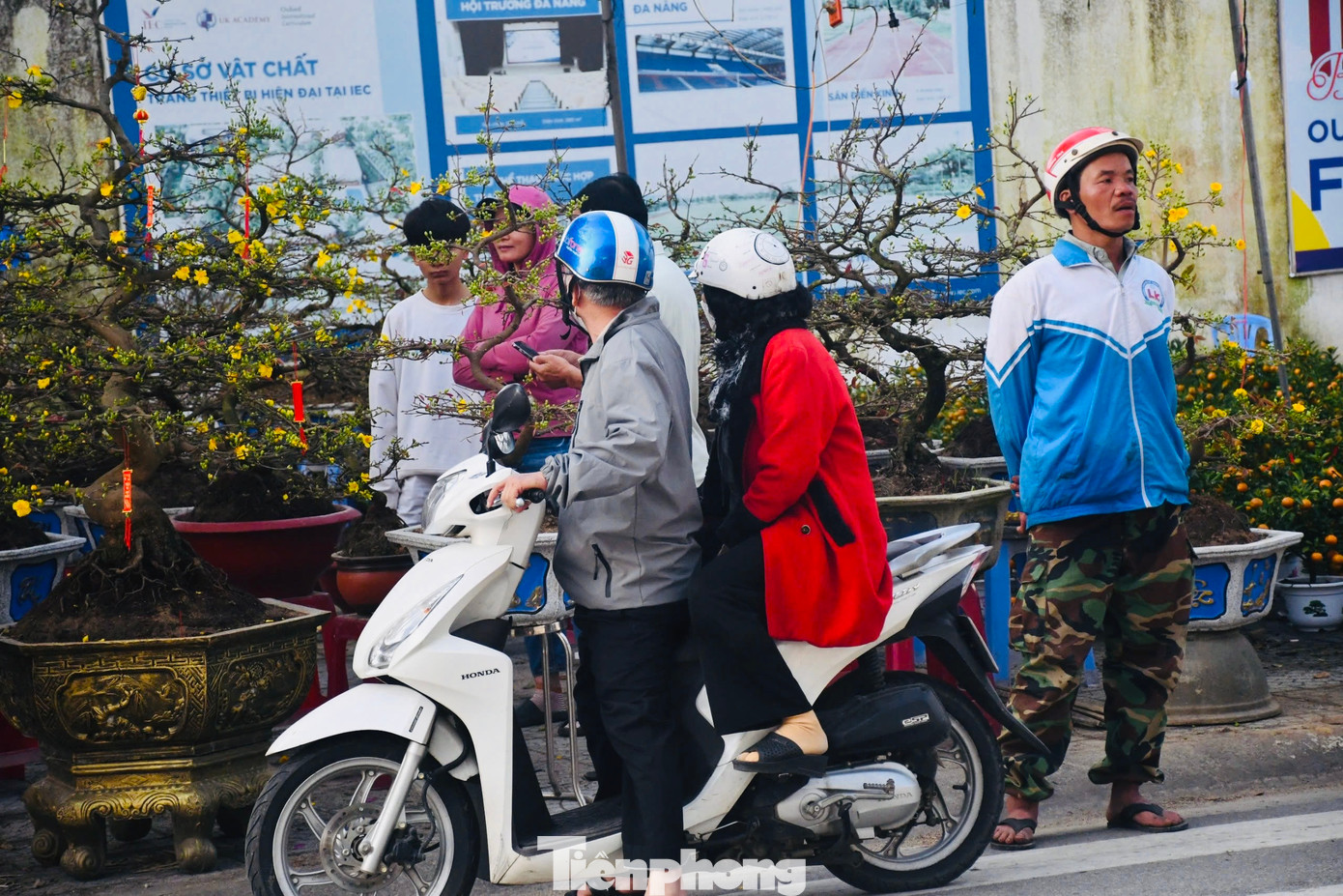 Nhiều người bán hoa cũng chung cảnh ngộ như anh Sang. Chẳng ai nghĩ đến có lời, chỉ mong gỡ gạc đồng nào hay đồng đó. Ảnh: Nguyễn Ngọc