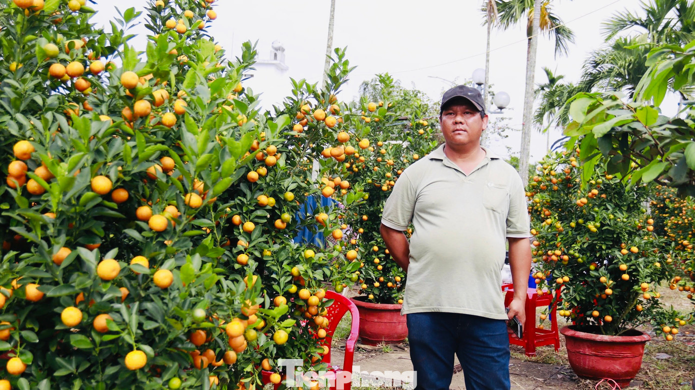 Không riêng gì những người bán mai mà ngay những người bán quất cảnh cũng giảm giá nhưng vẫn không bán được hàng. Người mua vẫn trả giá khiến người bán thở dài. Ảnh: Nguyễn Ngọc