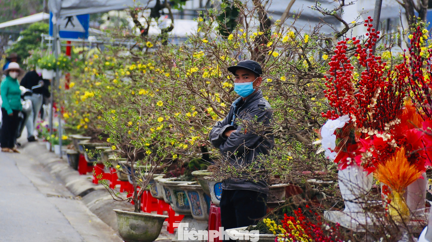 Cảnh buôn bán ế ẩm khiến nhiều tiểu thương như đang “ngồi trên đống lửa”, nhất là với những người bỏ ra số tiền lớn nhập về các loại hoa, cây cảnh có giá cao. Với họ, Tết năm nay đã kém vui. Ảnh: Nguyễn Ngọc