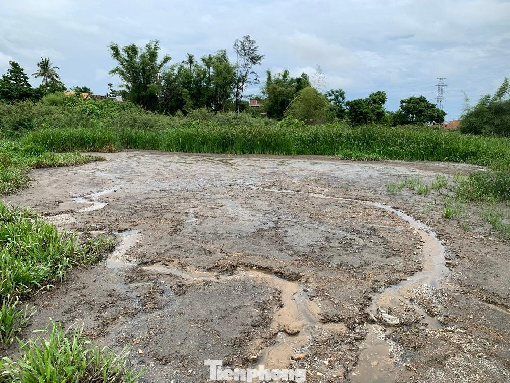 Xác mỳ chưa qua xử lý được doanh nghiệp xả thải trực tiếp ra sông Bàu Giang. Xác mỳ chưa qua xử lý được doanh nghiệp xả thải trực tiếp ra sông Bàu Giang.