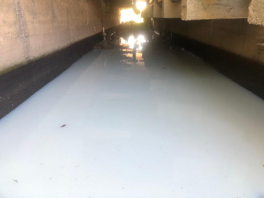 Nước có màu trắng đục như sữa tràn ra hệ thống thoát nước khiến người dân hoang mang. Nước có màu trắng đục như sữa tràn ra hệ thống thoát nước khiến người dân hoang mang.