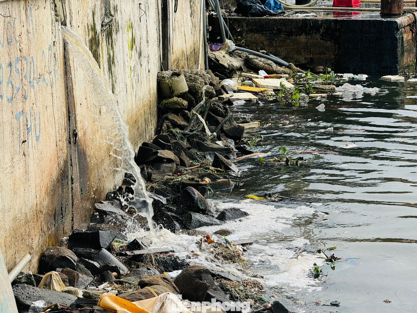 Nước thải từ việc bốc dỡ hải sản không qua xử lý được xả thải trực tiếp ra môi trường.