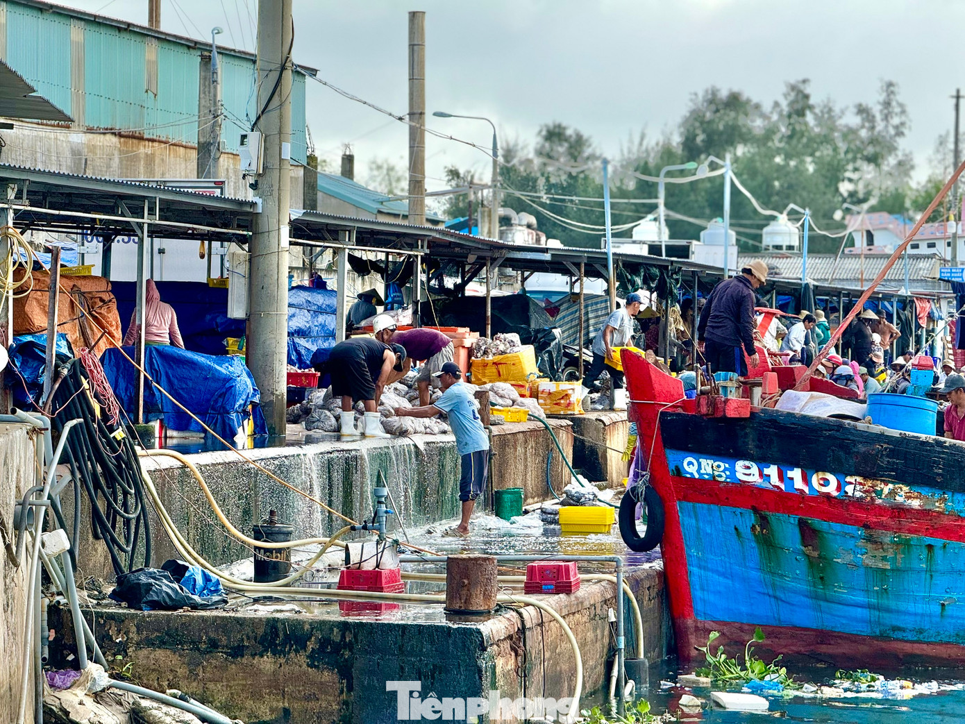 Nước thải từ việc bốc dỡ hải sản không qua xử lý được xả thải trực tiếp ra môi trường.