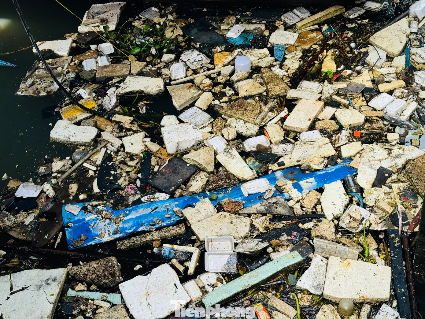 Dưới mặt nước đủ loại rác thải trôi nổi bập bềnh.