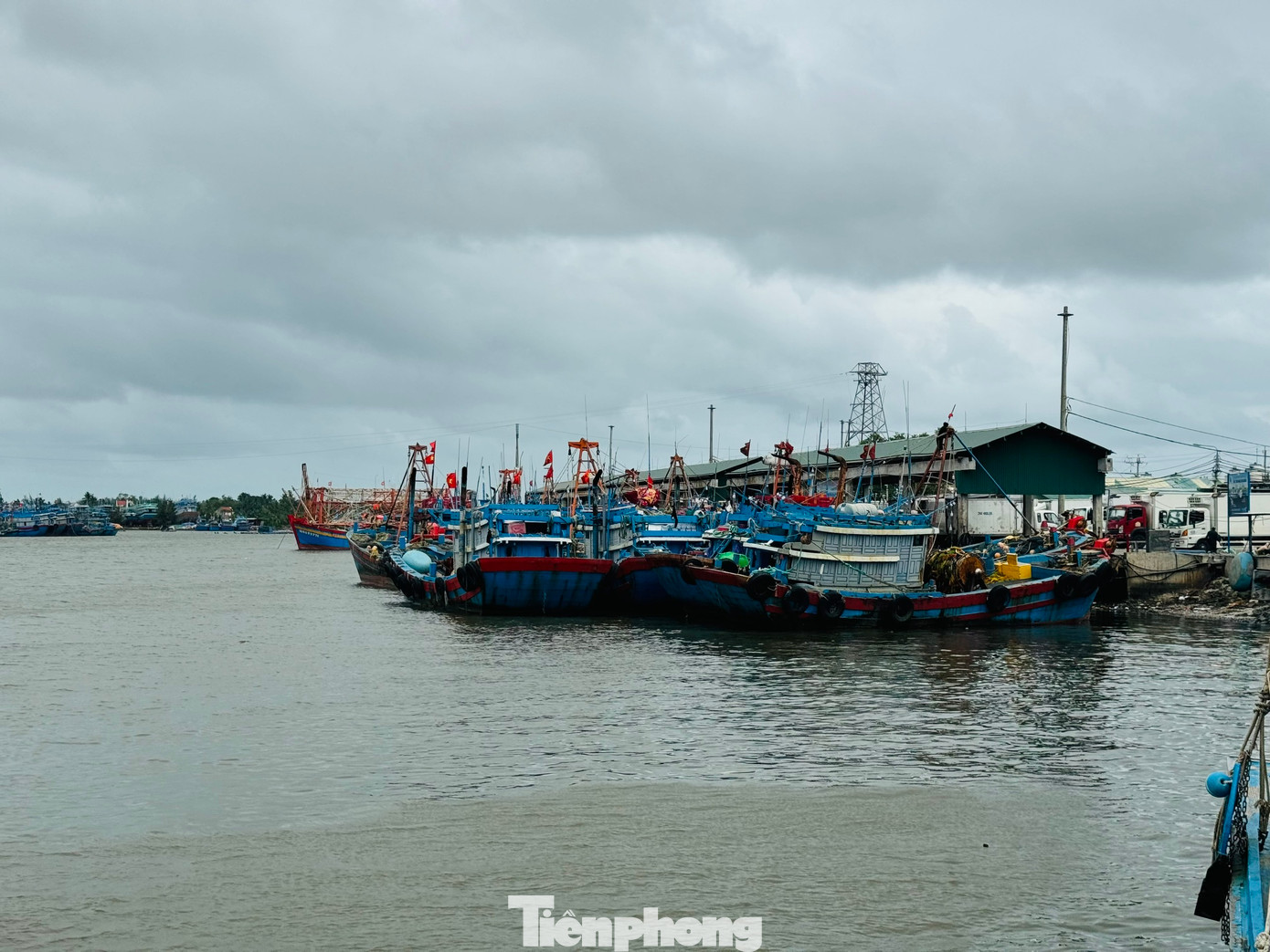 Cảng cá Tịnh Kỳ mỗi ngày có hàng chục lượt tàu cá ra vào bán hải sản..