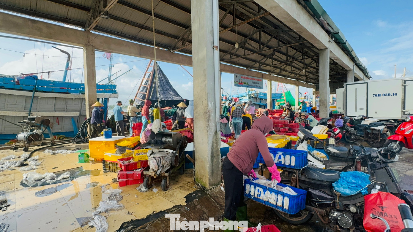 Cảng cá Tịnh Kỳ mỗi ngày có hàng chục lượt tàu cá ra vào bán hải sản..